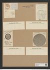 Coscinodiscus velatus Ehr. (de-Toni-Nr.: Genus 202, Species 4965) Zeichnungen Sammlung Grunow Nr. 8557 (NHMW-BOT-W0378198)